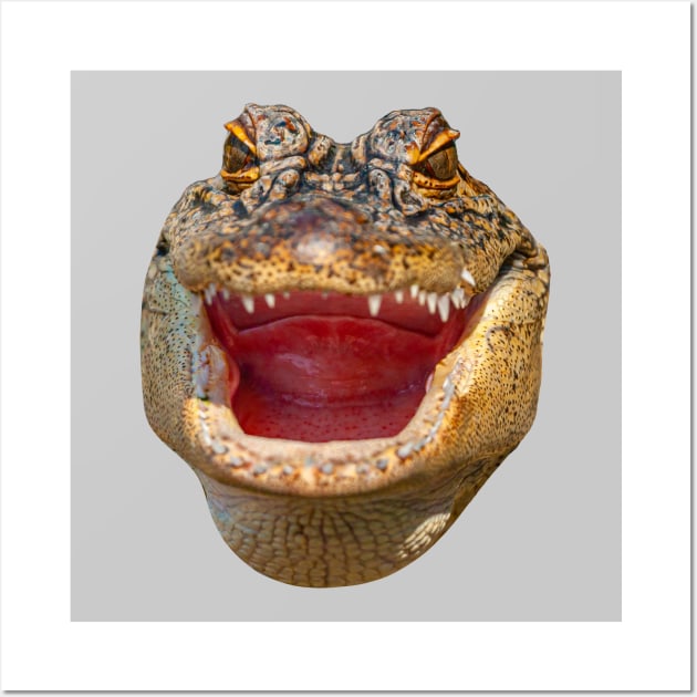 Happy Gator Wall Art by dalyndigaital2@gmail.com